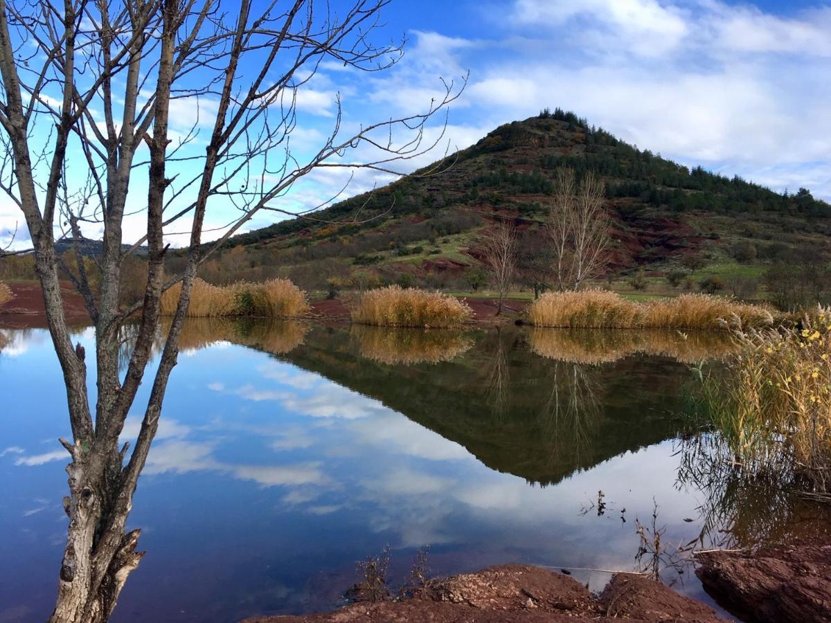 Proche Lac Du Salagou, Chambre Agreable Avec Salle D'Eau Et Wc Prive Lacoste  Buitenkant foto